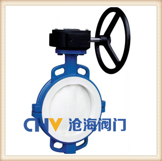 襯氟蝶閥